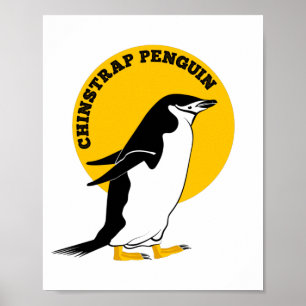 Poster Chinstrap penguin