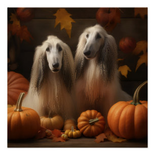 Poster chiot Afghan Hound Automne Délice Citrouille