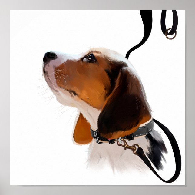 Poster Chiot beagle en laisse (Devant)