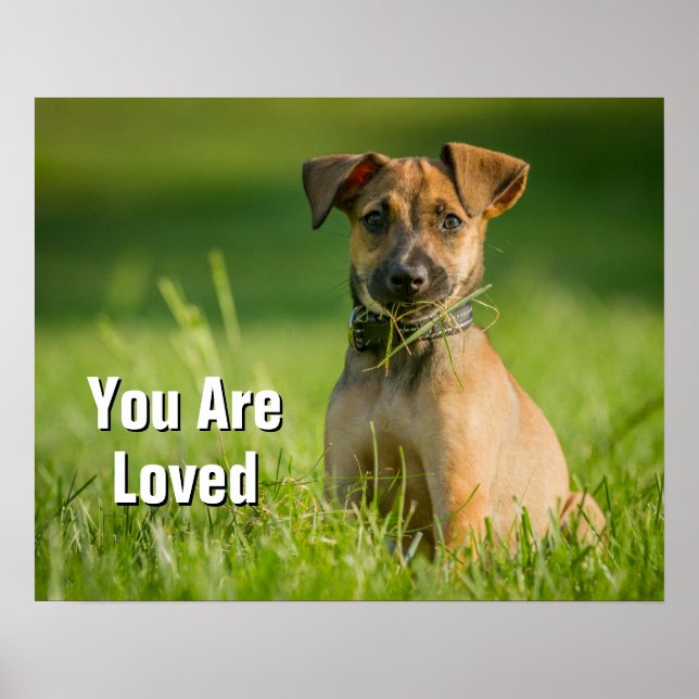 Poster Chiot Dans L'Herbe (Devant)