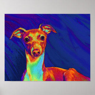 Poster chiot de lévrier italien