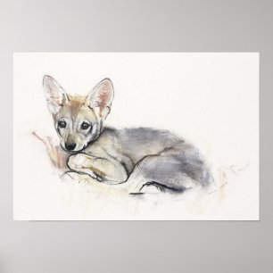 Poster Chiot de loup Arabe courbé 2009