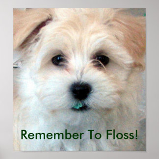 Poster Chiot de poche d'hygiène dentaire