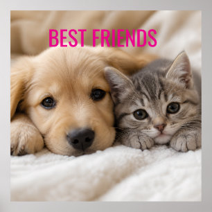 Poster Chiot endormi et chaton câlins