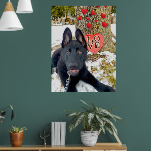 Poster Chiot GSD noir avec coeurs & grand amour Saint-Val