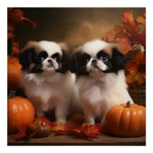 Poster Chiot japonais Chiot Automne Citrouille délice