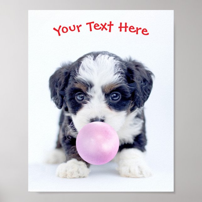 Poster Chiot mou, Bubble Gum Bubble, Nom ou Message (Devant)