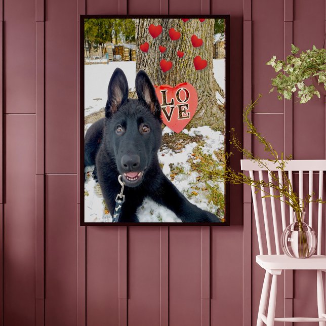 Poster Chiot noir GSD avec Coeurs & Big Love Valentine (Créateur téléchargé)