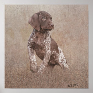 Poster Chiot pointeur allemand