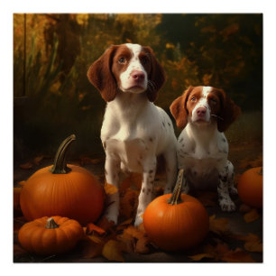 Poster Chiots Brittany Spaniel Délice d'Automne Citrouill