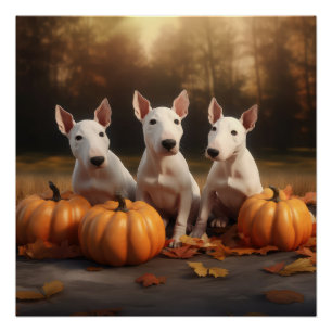Poster Chiots Bull Terrier Délice d'Automne Citrouille