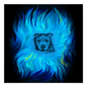 Poster Chiots Staffy Bleu