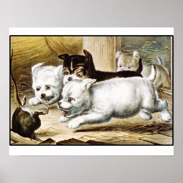 Poster Chipies Rat Terrier - Art Vintage (Devant)