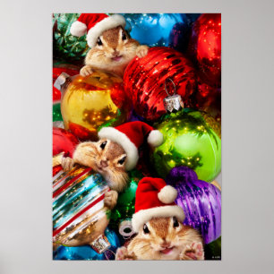 Poster Chipmunks Aux Ornements De Vacances