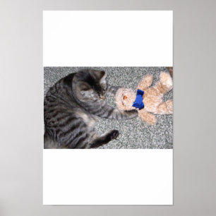 Poster "Chiro-Cat"