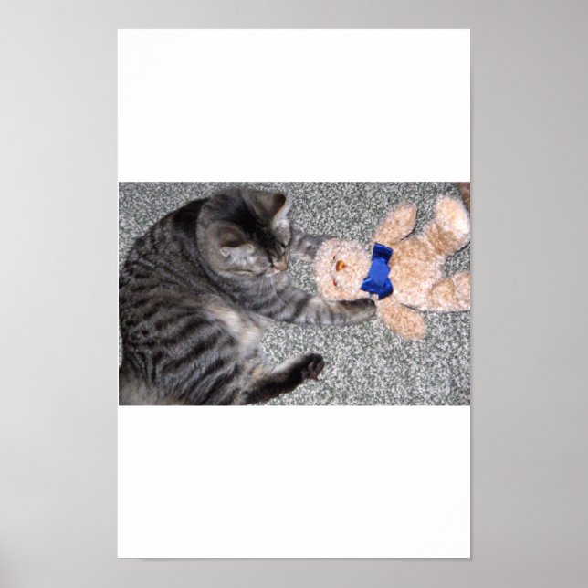 Poster "Chiro-Cat" (Devant)