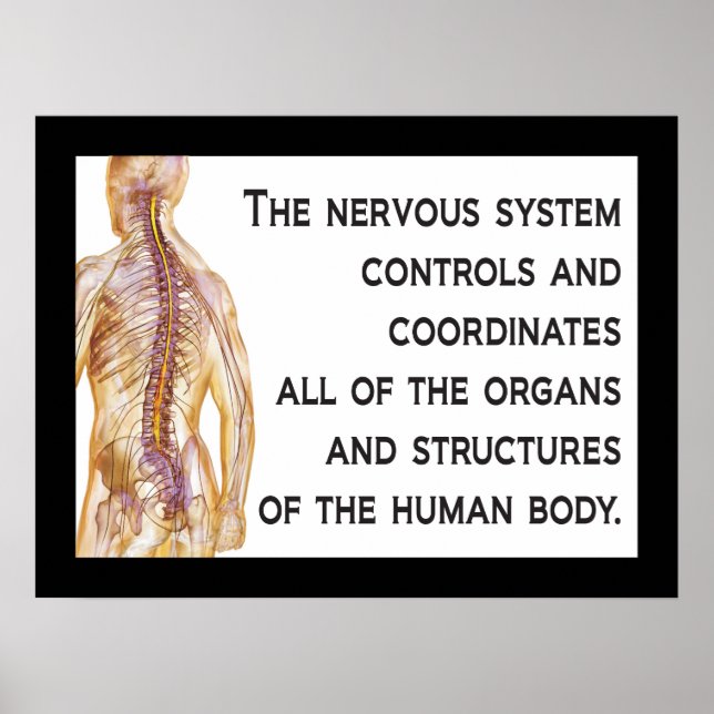 Poster Chiropractic Nerves Citation Personnaliser de l'af (Devant)