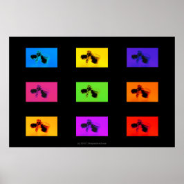 Poster chiropratique : Lumbar Vertebrae Funk