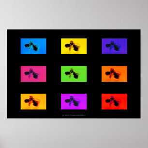 Poster chiropratique : Lumbar Vertebrae Funk