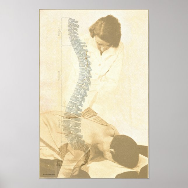 Poster Chiropratique Réglage de la colonne vertébrale Vin (Devant)