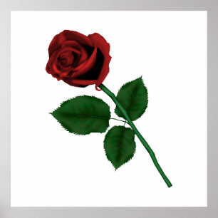 Poster Choisissez l'affiche rose