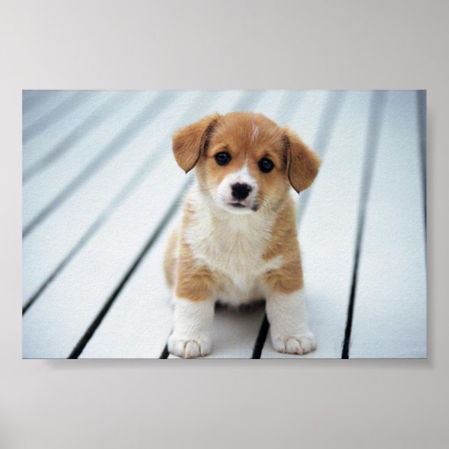 POSTER CHOISISSEZ SUR QUELQU'UN VOTRE TAILLE (Devant)