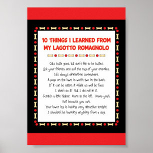 Poster Choses drôles I appris de mon Lagotto Romagnolo