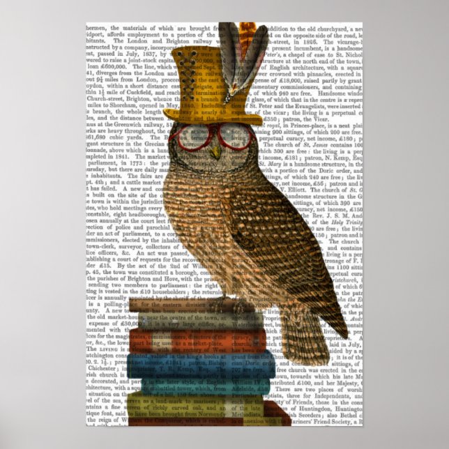Poster Chouette dans les livres (Devant)