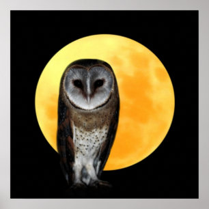 Poster Chouette et pleine lune