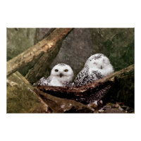 Chouette Harfang Couple Art Bois Faune