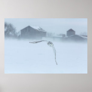 Poster Chouette Neige En Vol En Hiver