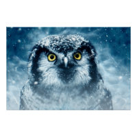Chouette neigeuse grands yeux