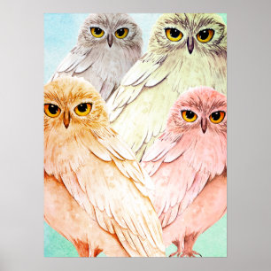 Poster chouettes