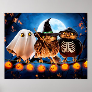 Poster Chouettes d'Halloween