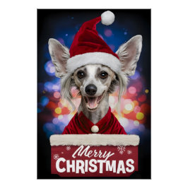 Poster Christmas with Chinese Crested Dog