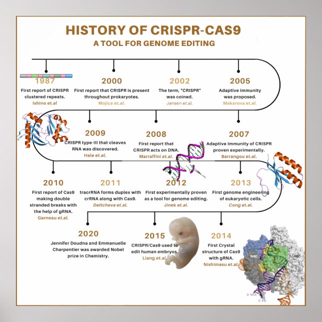 Poster Chronologie de CRISPR (Devant)