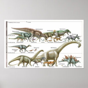 Poster Chronologie des dinosaures Biologie jurassique