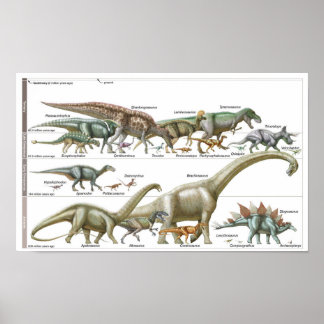 Poster Chronologie des dinosaures Biologie jurassique