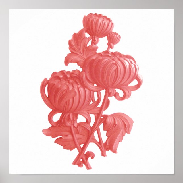 Poster Chrysanthème rose (Devant)