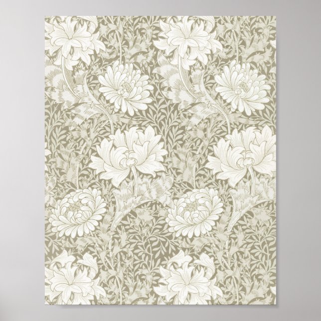Poster Chrysanthemum Ivory, William Morris (Devant)