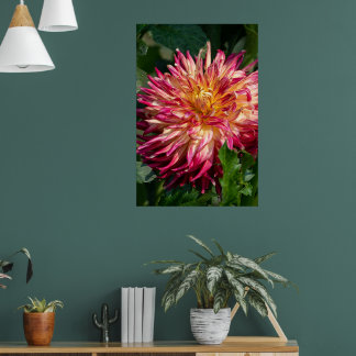 Poster Chrysanthemum Orange Canadian Flower Photography