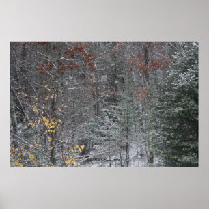 Poster Chute avant l'hiver