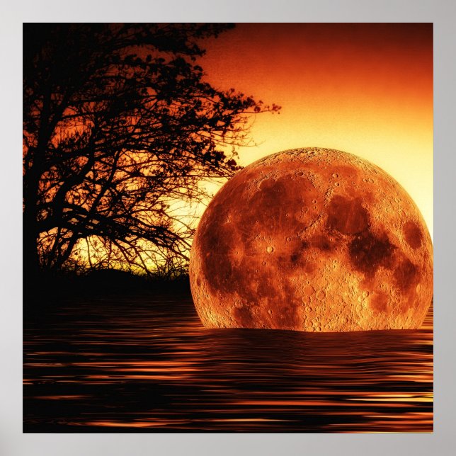 Poster Chute de la rivière Moon (Devant)