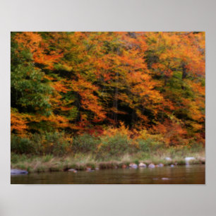 Poster Chute Foliage Bordage Rivière Orton