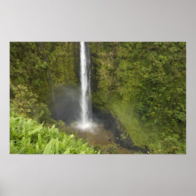 Poster Chutes d'Akaka, côte d'Hamakua, île d'Hawaii, (Devant)