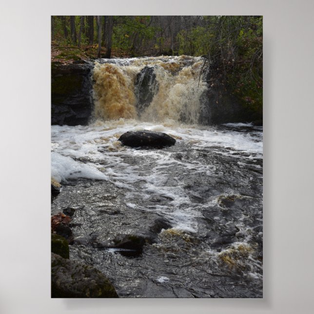 Poster Chutes de bière racine (Devant)