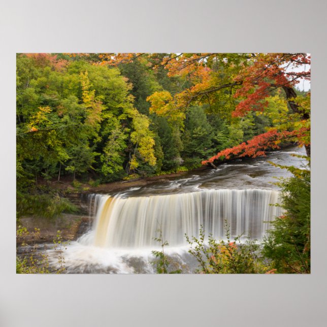 Poster Chutes de Tahquamenon à l'automne (Devant)