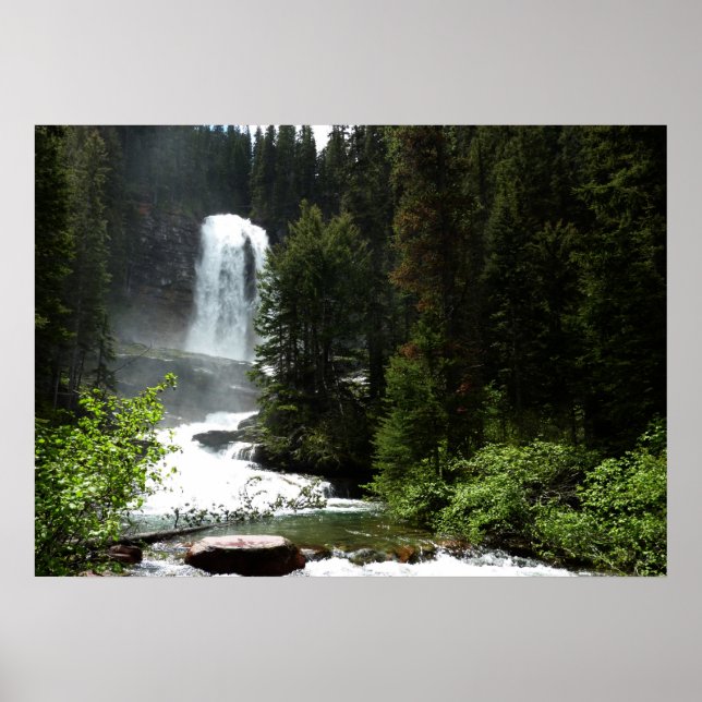 Poster Chutes de Virginie au parc national Glacier (Devant)