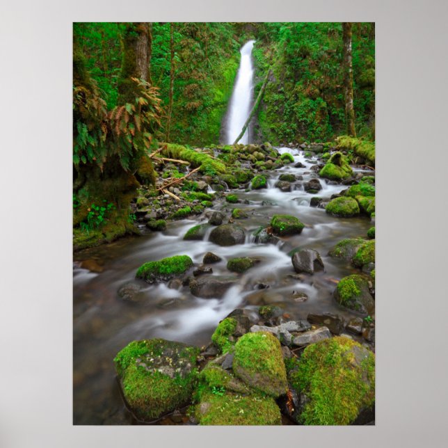 Poster Chutes du ruisseau Ruckel, Columbia River Gorge Or (Devant)