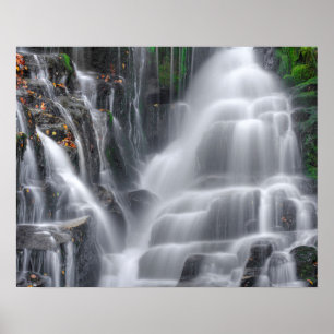 Poster Chutes Eastatoe